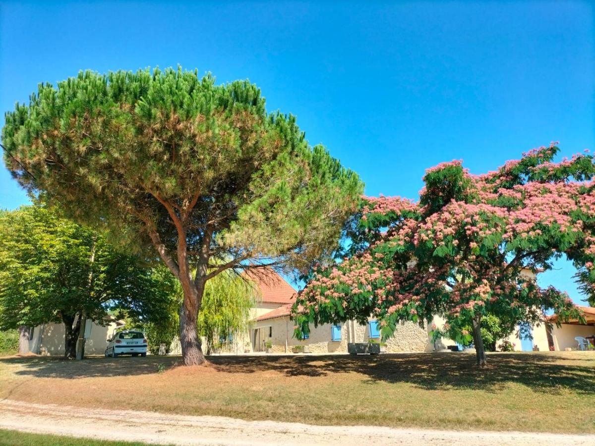 Villa Le Pigeonnier Gersois Condom Esterno foto